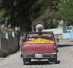 Rural Mexico