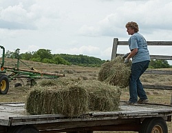 Loading Hay onto Wagon