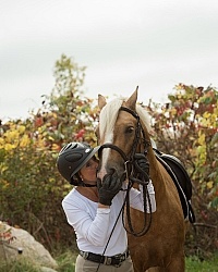 Connemara Stallion Get Smart with Owner Tonya Cummins 