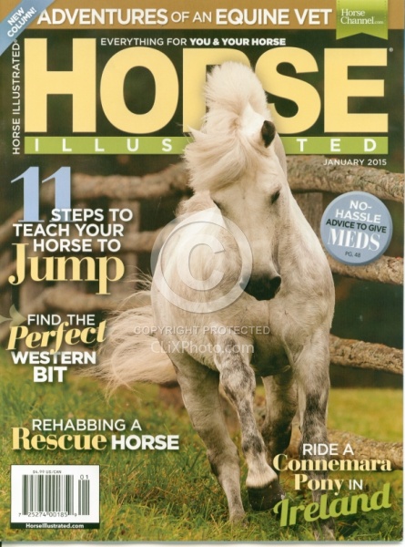 Horse Illustrated Cover Jan 2015