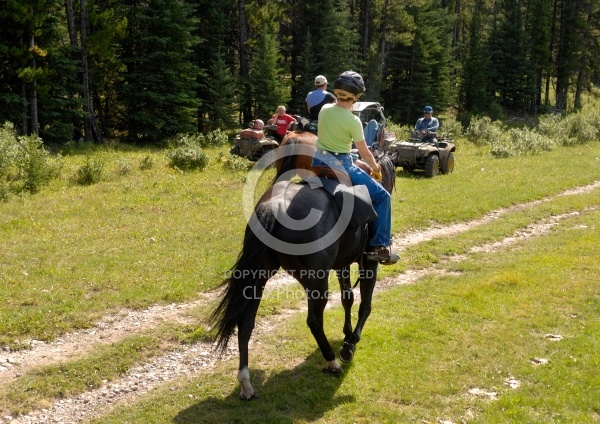Four wheelers on the Trail