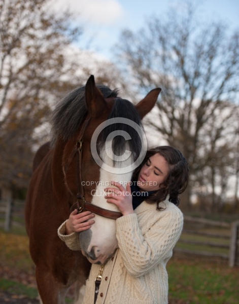 Clydesdale with People
