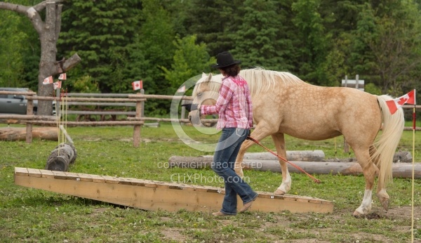 Natural Horsemanship through Obstacles