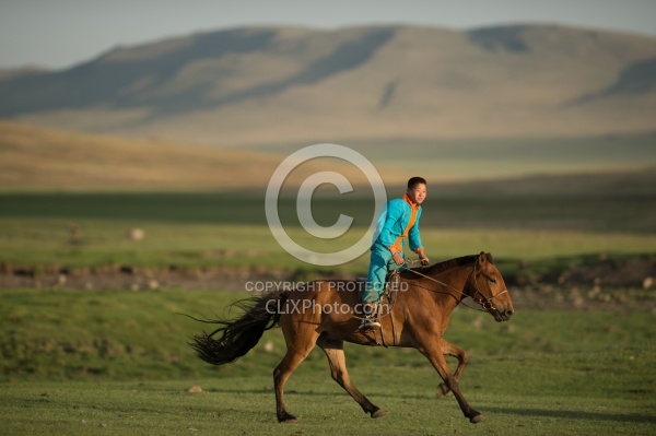 A Mongolian herders Son