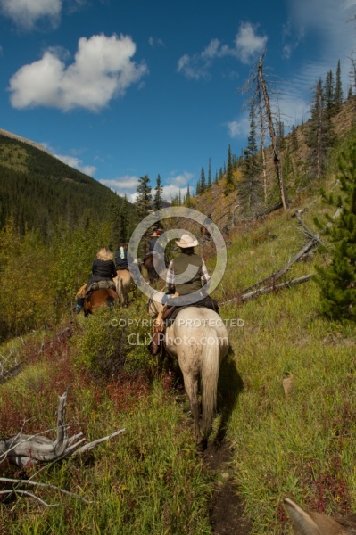 On the Trail On the Trail with Wild Deuce Outfitters