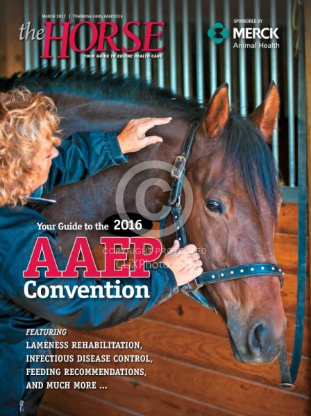 The Horse AAEP Wrap Up Cover