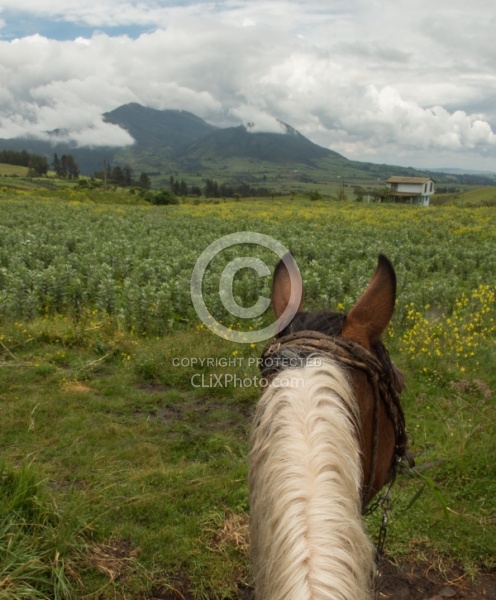 The View on Return From Bomboli, Ecuador