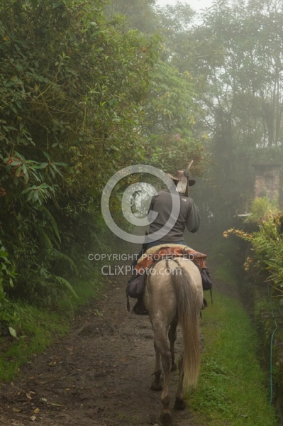 Rodrigo on his way to fix the trail in the Cloud Forest at Bomb