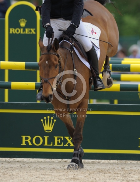 Peter Barry and Kilroden Abbott Rolex 2011 Arena Footing