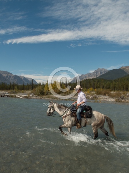 River Crossing Spring Summer Trail Riding