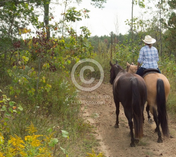 Ponying in the Ganaraska Forest
