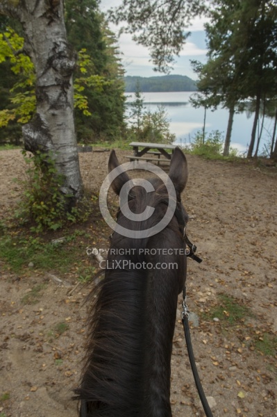 The View of Voyageur Bay from Bailey Boy at Horse Country Campgr