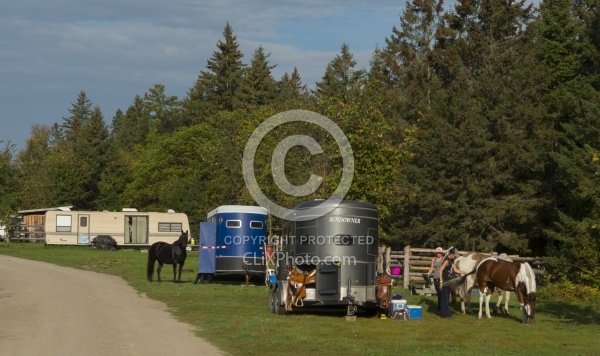 Trailers at Horse Country Campground