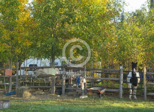 A Corral at Horse Country Campground