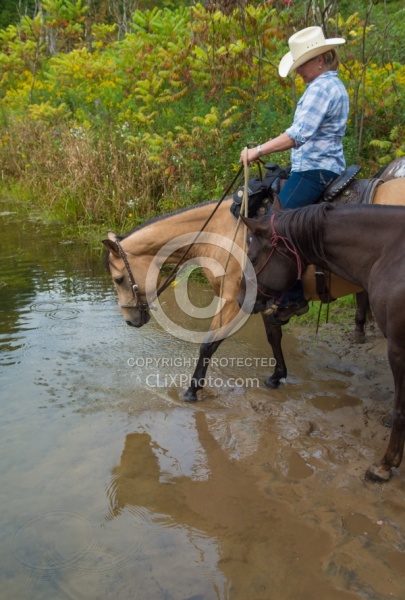 Ponying in the Ganaraska Forest Ponying a Horse to Water