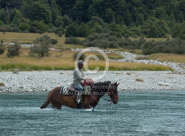A River Crossing on the Day Ride From Boundary Hut, Wild Womens Expeditions with Adventure Horse Trekking New Zealand