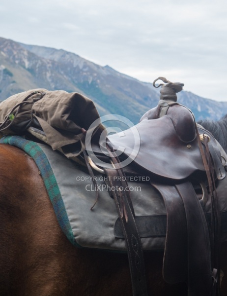 Waiting for the Day Ride from Boundary Hut, Wild Womens Expeditions with Adventure Horse Trekking New Zealand