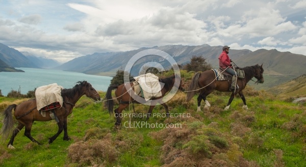 The View From Dingleburn Station on the Land of the Long White Cloud Ride with Wild Womens Expeditions and Adventure Horse Trekking New Zealand