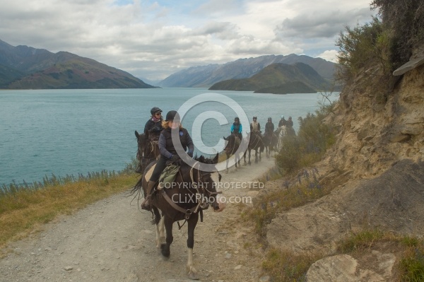 On the road Out of Dingleburn Station on the Land of the Long White Cloud Ride with Wild Womens Expeditions and Adventure Horse Trekking New Zealand
