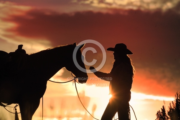 Silhouette Horse and Rider