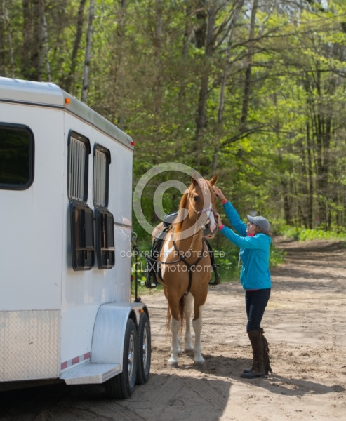 Horse at Trailer