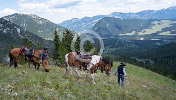 Leading Horses Downhill on the Lost Trail Ride with Anchor D
