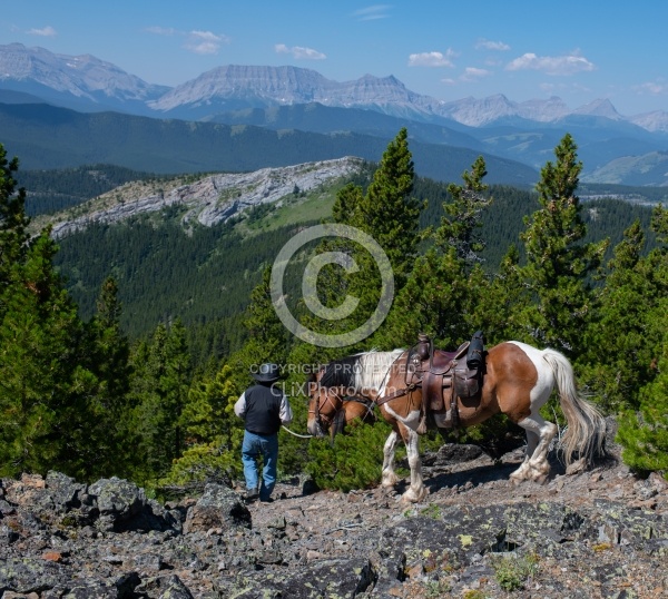 Leading Horses Downhill - Lost Trail Ride - Anchor D