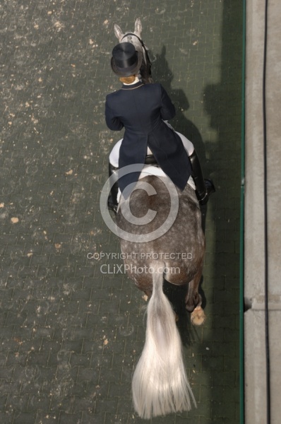 Dressage from Above