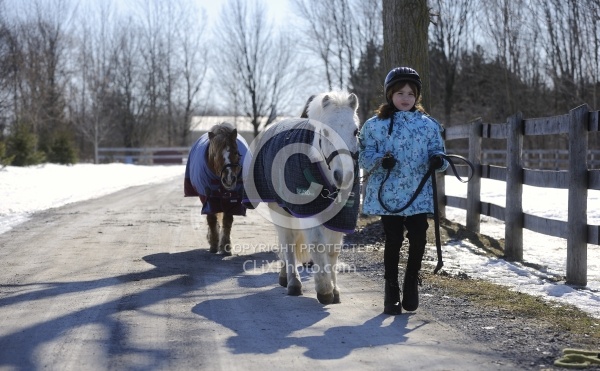 Child Leading Pony