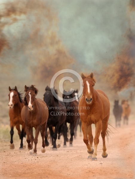 Horses Running From Fire