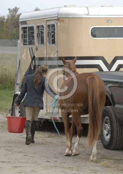  Watering Horse at Horse Show
