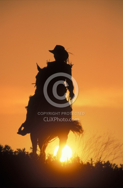 Silhoutte of Western Horse and Rider