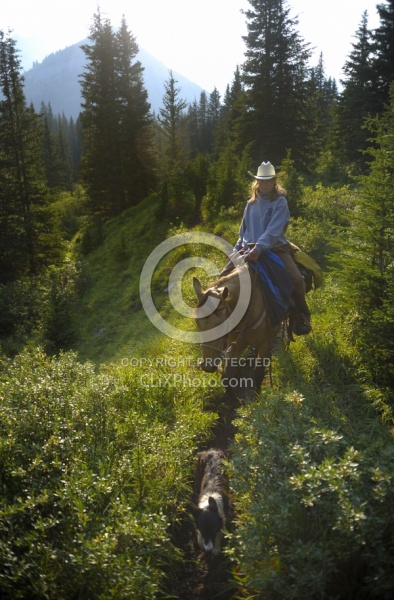 Trail Riding Quarter Horse with Dog Wild Deuces Womens Retreat