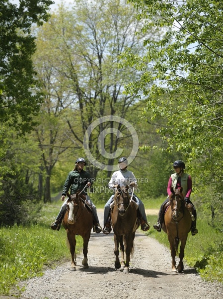 Trail Riding group