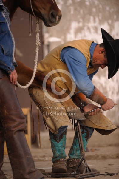 Farrier Trimming Foot