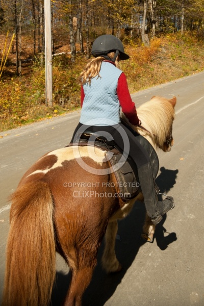 Vermont Icelandic Horse Farm Fall Colours Ride