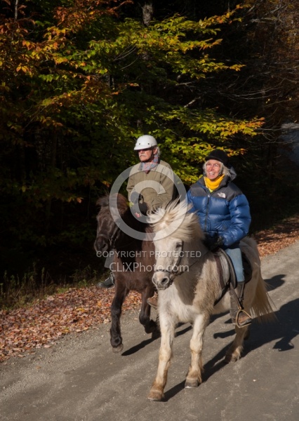 Vermont Icelandic Horse Farm Fall Colours Ride