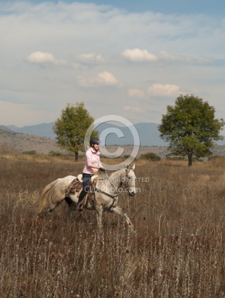 Galloping on the Trail