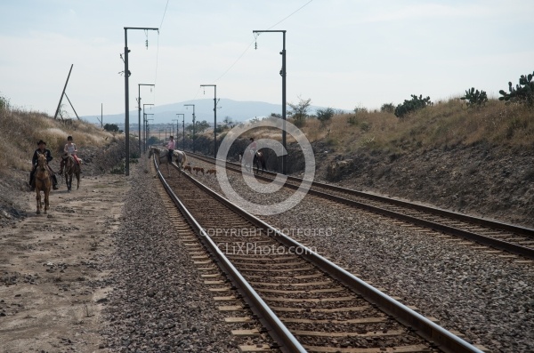 Crossing the Tracks in Mexico