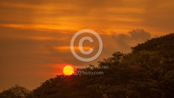 Sunset and Silhouettes near Mara Villa