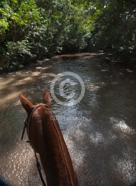River Ride near Maravilla
