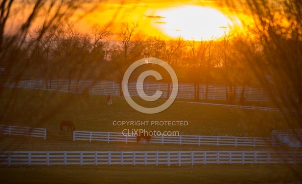 The Kentucky Horse Park at Sunset